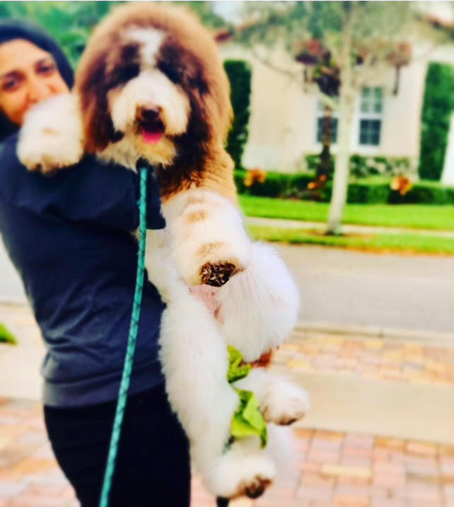 woman holding dog - Gray Matter Therapy 